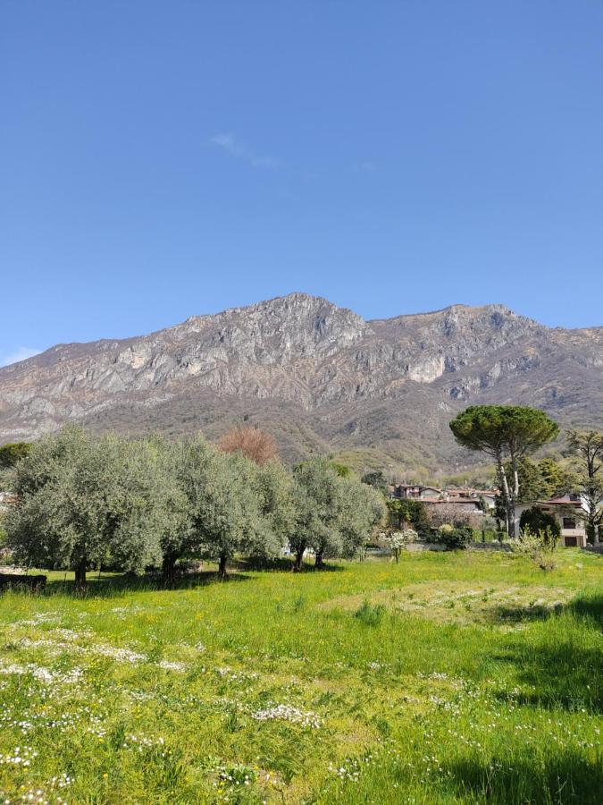 La Casa A Chiocciola Between Lake And Mountains Лиерна Екстериор снимка